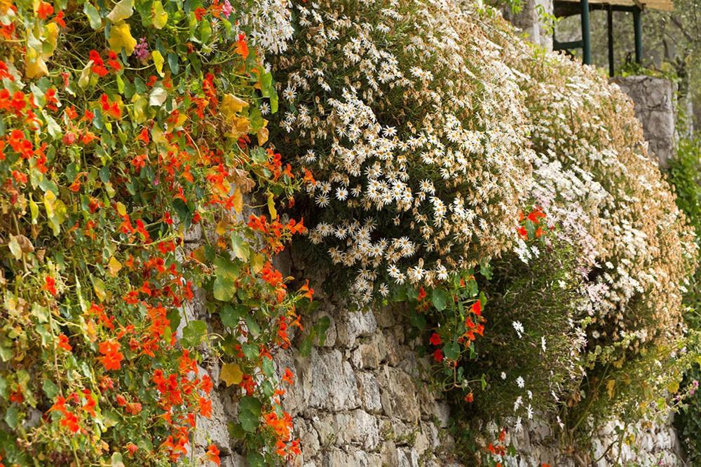 Mas Thomasine Sejour Romantique Au Calme Peillon Exteriör bild